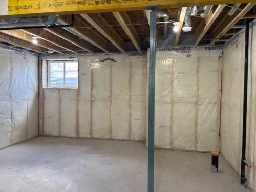619 Savanna Crescent Ne, Calgary, AB - Indoor Photo Showing Basement