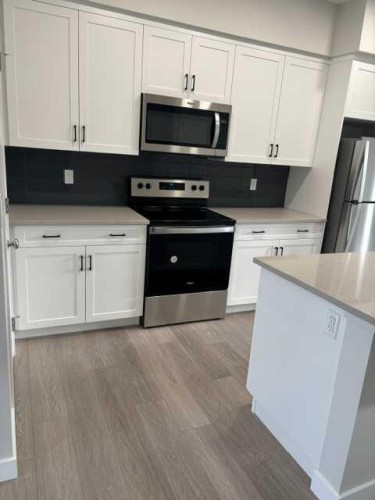 619 Savanna Crescent Ne, Calgary, AB - Indoor Photo Showing Kitchen With Stainless Steel Kitchen