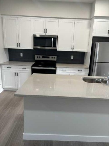 619 Savanna Crescent Ne, Calgary, AB - Indoor Photo Showing Kitchen With Stainless Steel Kitchen With Double Sink