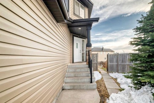 36 Saddleland Court Ne, Calgary, AB - Outdoor