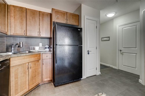 904-211 13 Avenue Se, Calgary, AB - Indoor Photo Showing Kitchen With Double Sink