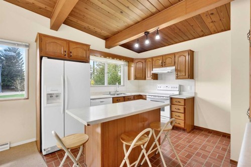 920 87 Avenue Sw, Calgary, AB - Indoor Photo Showing Kitchen