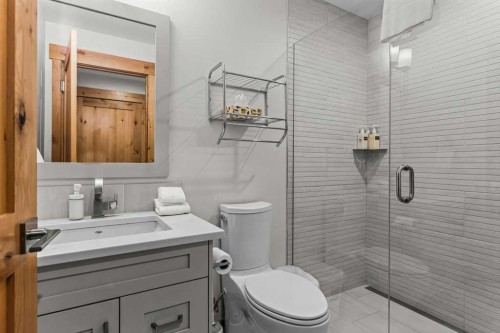 310B-1012 Spring Creek Drive West, Canmore, AB - Indoor Photo Showing Bathroom