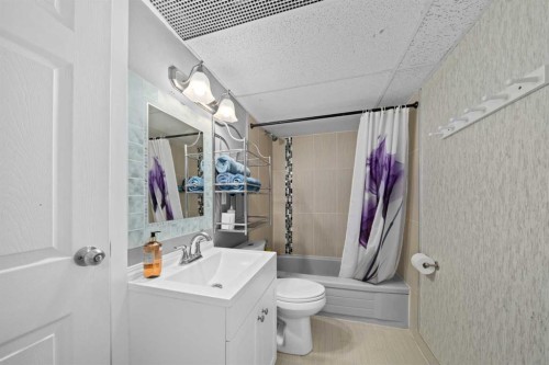 75 Bedford Drive Ne, Calgary, AB - Indoor Photo Showing Bathroom