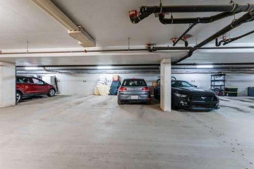 206-8 Prestwick Pond Terrace Se, Calgary, AB - Indoor Photo Showing Garage