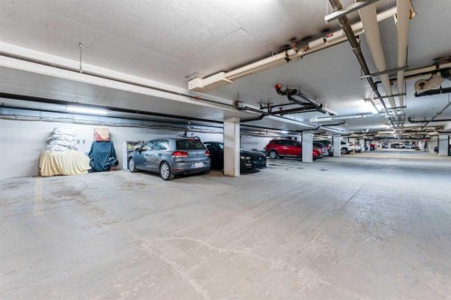 206-8 Prestwick Pond Terrace Se, Calgary, AB - Indoor Photo Showing Garage