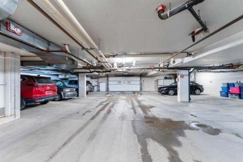 206-8 Prestwick Pond Terrace Se, Calgary, AB - Indoor Photo Showing Garage