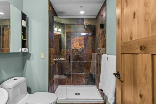 310-600 Spring Creek Drive, Canmore, AB - Indoor Photo Showing Bathroom