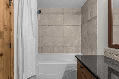 310-600 Spring Creek Drive, Canmore, AB - Indoor Photo Showing Bathroom