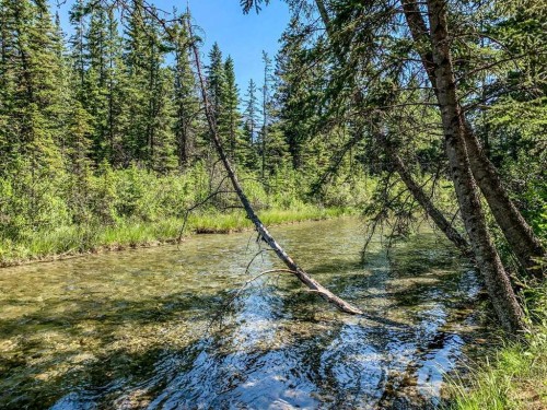 310-600 Spring Creek Drive, Canmore, AB - Outdoor With View