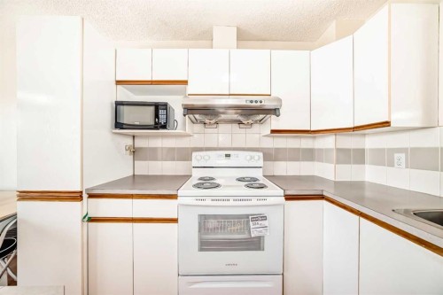 31 Harvest Oak Circle Ne, Calgary, AB - Indoor Photo Showing Kitchen
