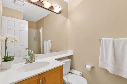 7305-14 Hemlock Crescent Sw, Calgary, AB - Indoor Photo Showing Bathroom