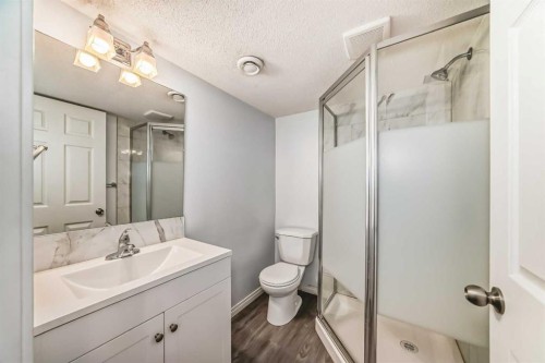 13 Harvest Park Place Ne, Calgary, AB - Indoor Photo Showing Bathroom