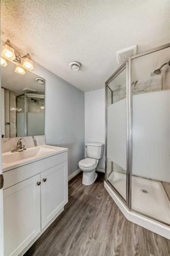 13 Harvest Park Place Ne, Calgary, AB - Indoor Photo Showing Bathroom