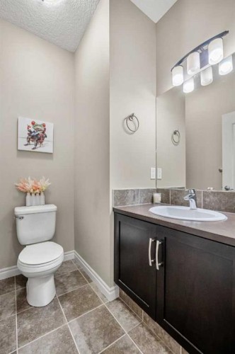 495 Cranford Drive Se, Calgary, AB - Indoor Photo Showing Bathroom