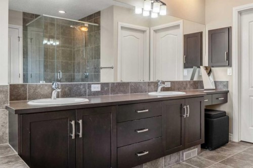 495 Cranford Drive Se, Calgary, AB - Indoor Photo Showing Bathroom