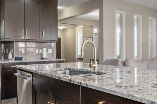 495 Cranford Drive Se, Calgary, AB - Indoor Photo Showing Kitchen With Double Sink With Upgraded Kitchen