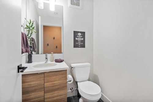 153 Savanna Walk Ne, Calgary, AB - Indoor Photo Showing Bathroom
