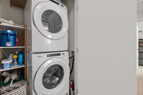 153 Savanna Walk Ne, Calgary, AB - Indoor Photo Showing Laundry Room