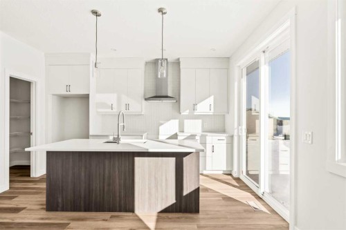 885 Livingston View Ne, Calgary, AB - Indoor Photo Showing Kitchen With Upgraded Kitchen