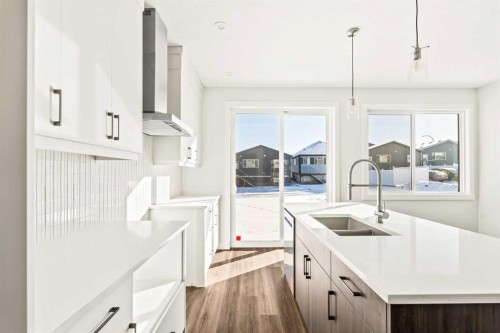 885 Livingston View Ne, Calgary, AB - Indoor Photo Showing Kitchen With Double Sink With Upgraded Kitchen