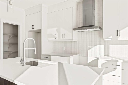 885 Livingston View Ne, Calgary, AB - Indoor Photo Showing Kitchen With Upgraded Kitchen