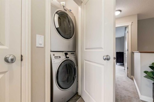 3117 Don Ethell Boulevard Sw, Calgary, AB - Indoor Photo Showing Laundry Room