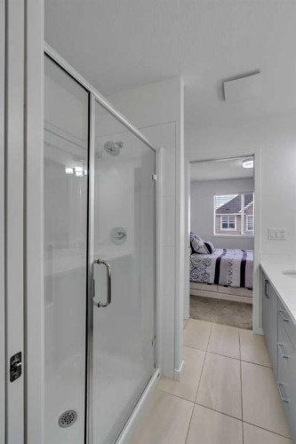 554 Copperstone Manor Se, Calgary, AB - Indoor Photo Showing Bathroom