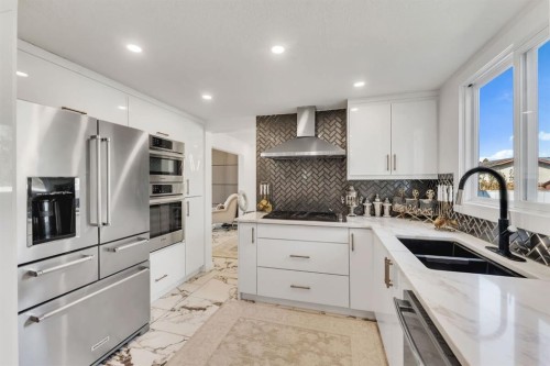 316 Templeton Circle Ne, Calgary, AB - Indoor Photo Showing Kitchen With Double Sink With Upgraded Kitchen