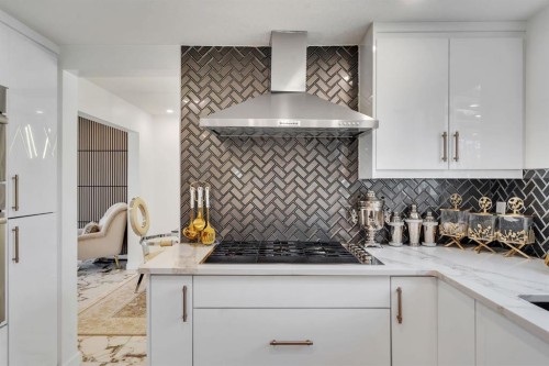 316 Templeton Circle Ne, Calgary, AB - Indoor Photo Showing Kitchen With Upgraded Kitchen