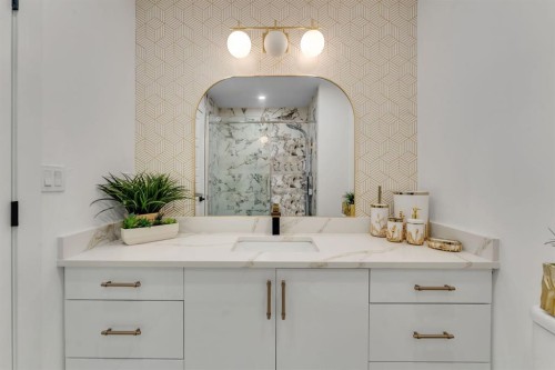 316 Templeton Circle Ne, Calgary, AB - Indoor Photo Showing Bathroom