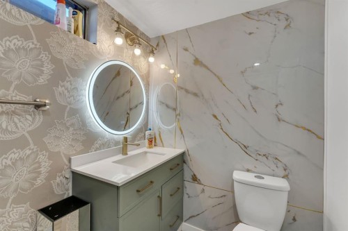 316 Templeton Circle Ne, Calgary, AB - Indoor Photo Showing Bathroom