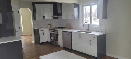 107 Harvest Oak Crescent Ne, Calgary, AB - Indoor Photo Showing Kitchen With Double Sink With Upgraded Kitchen