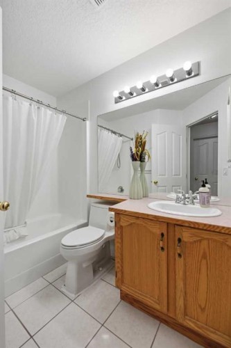 439-165 Manora Place Ne, Calgary, AB - Indoor Photo Showing Bathroom