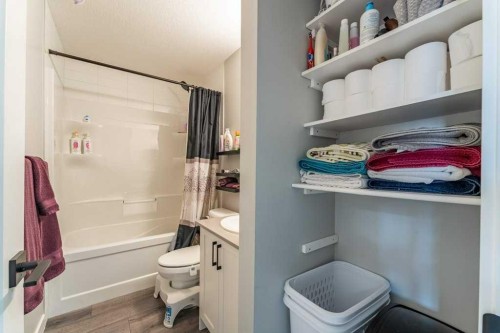 110 Hillcrest Close Sw, Airdrie, AB - Indoor Photo Showing Bathroom