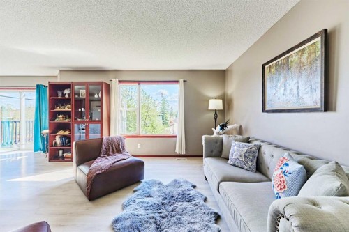 132 Somercrest Close Sw, Calgary, AB - Indoor Photo Showing Living Room
