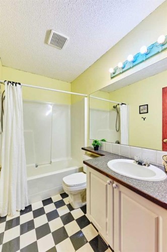 132 Somercrest Close Sw, Calgary, AB - Indoor Photo Showing Bathroom