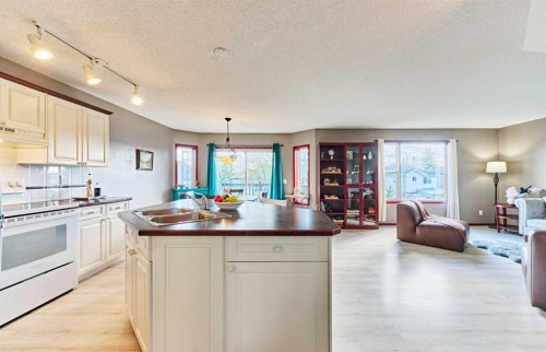 132 Somercrest Close Sw, Calgary, AB - Indoor Photo Showing Kitchen With Double Sink