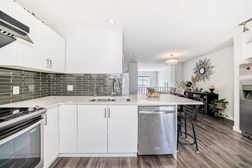 551 Evanston Link Nw, Calgary, AB - Indoor Photo Showing Kitchen With Double Sink With Upgraded Kitchen