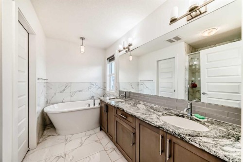 65 Saddlestone Green Ne, Calgary, AB - Indoor Photo Showing Bathroom