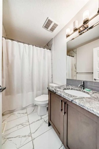 65 Saddlestone Green Ne, Calgary, AB - Indoor Photo Showing Bathroom