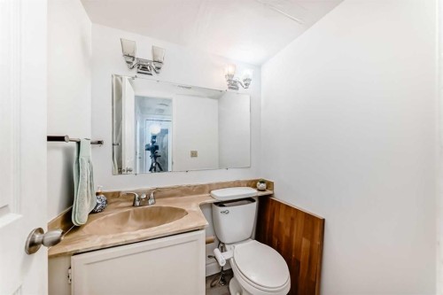 279 Falton Drive Ne, Calgary, AB - Indoor Photo Showing Bathroom