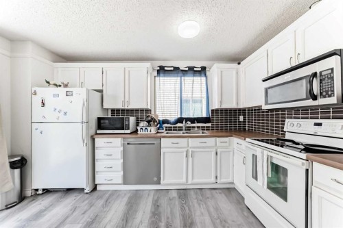 279 Falton Drive Ne, Calgary, AB - Indoor Photo Showing Kitchen With Double Sink