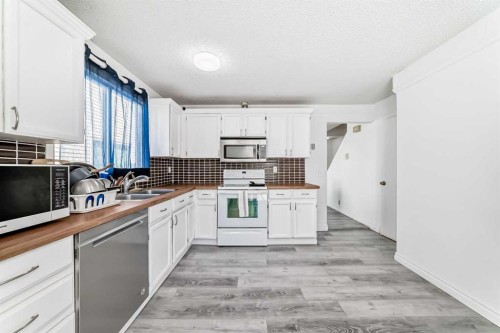 279 Falton Drive Ne, Calgary, AB - Indoor Photo Showing Kitchen With Double Sink