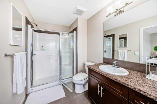 199 River Heights Green, Cochrane, AB - Indoor Photo Showing Bathroom