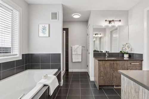 363 Precedence Hill, Cochrane, AB - Indoor Photo Showing Bathroom