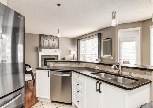 124 Copperfield Green Se, Calgary, AB - Indoor Photo Showing Kitchen With Double Sink With Upgraded Kitchen
