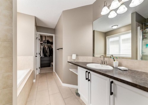 124 Copperfield Green Se, Calgary, AB - Indoor Photo Showing Bathroom