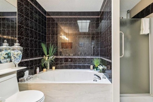 47 Sunlake Close Se, Calgary, AB - Indoor Photo Showing Bathroom