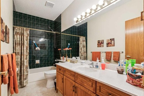 47 Sunlake Close Se, Calgary, AB - Indoor Photo Showing Bathroom